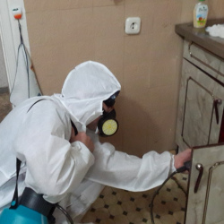 Дезинфекция от муравьев в квартире в Черкизово