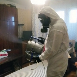 Дезинфекция от клопов в Черкизово