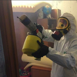 Уничтожение клопов в квартире. Черкизово